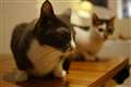 DT35mm�{WM75�@ISO�I�[�g
