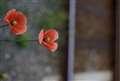 f2.8
