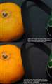 ISO1600��r(vs D90)