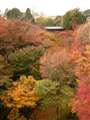 京都秋 東福寺