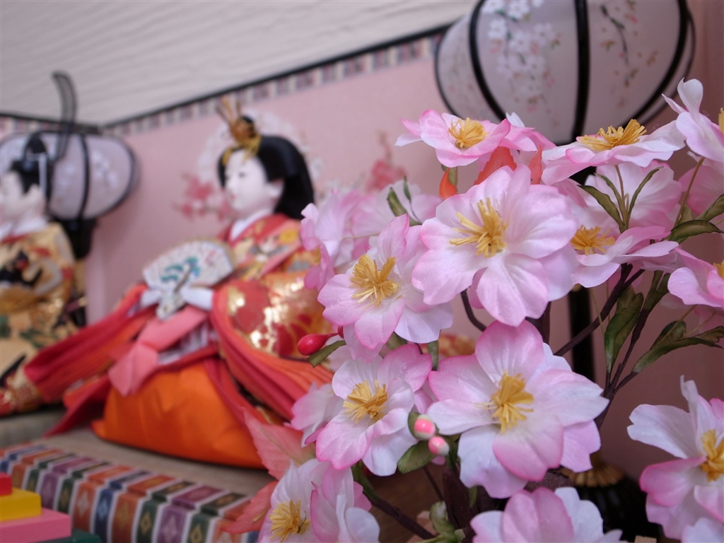 価格 Com 3月といえば 明るい室内 リコー Gr Digital Iii Yuimanajiさんのレビュー 評価投稿画像 写真 じっくりと付き合える 道具 になりそうです