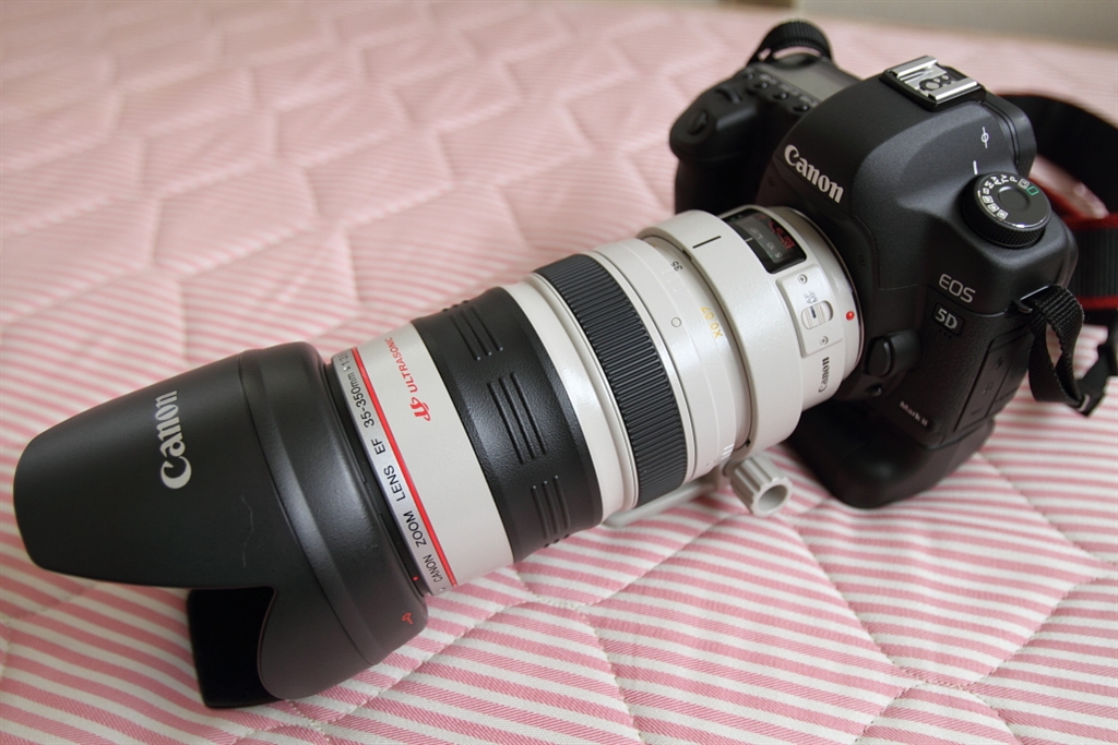 Canon EF35-350mm F3.5-5.6L USM - レンズ(ズーム)