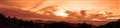 �p�m���}���̂Q
