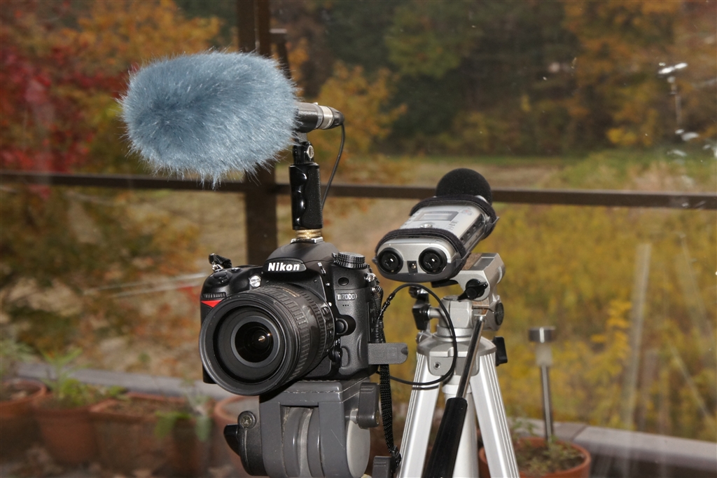 ニコン D7000◎バッグ付◎Wレンズ◎一眼レフカメラ◎高速連写◎S数少！ ☆Nikon D7000☆Wレンズ☆一眼レフカメラ☆高速連写☆バッグ