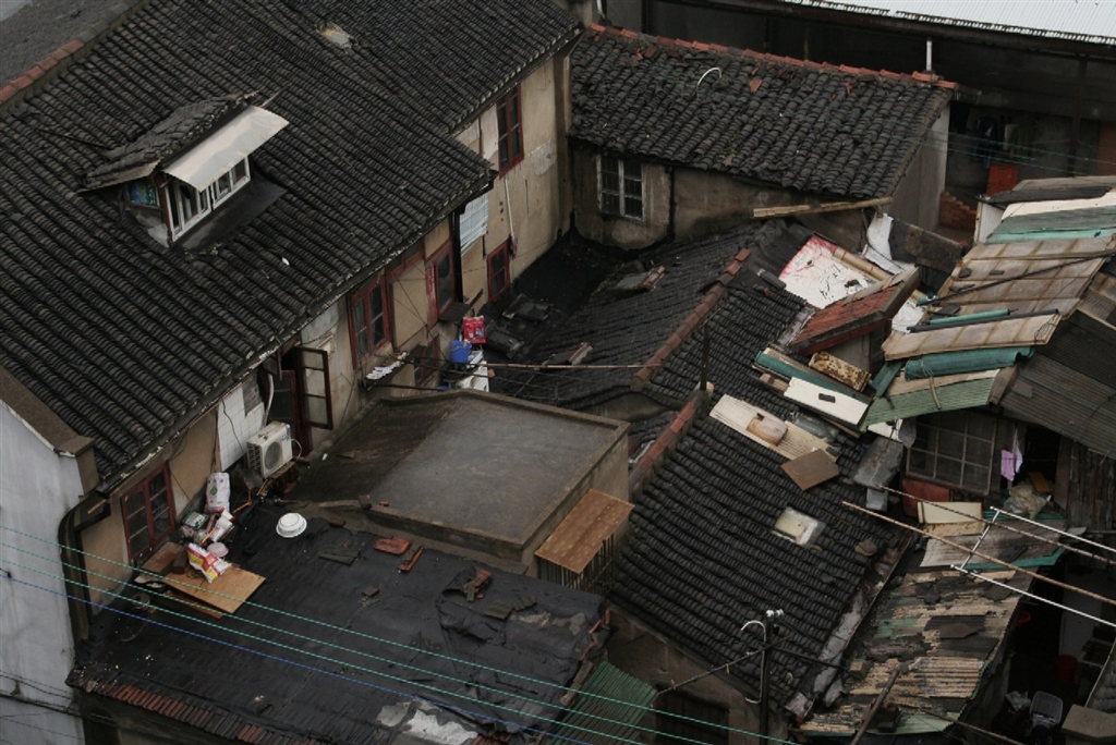 CANON EOS Kiss デジタルN ボディ タイガーバリーさんのレビュー・評価投稿画像・写真「私のデジタル一眼デビュー