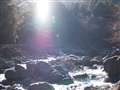 11-22/F2.8-3.5�@�t���B�e