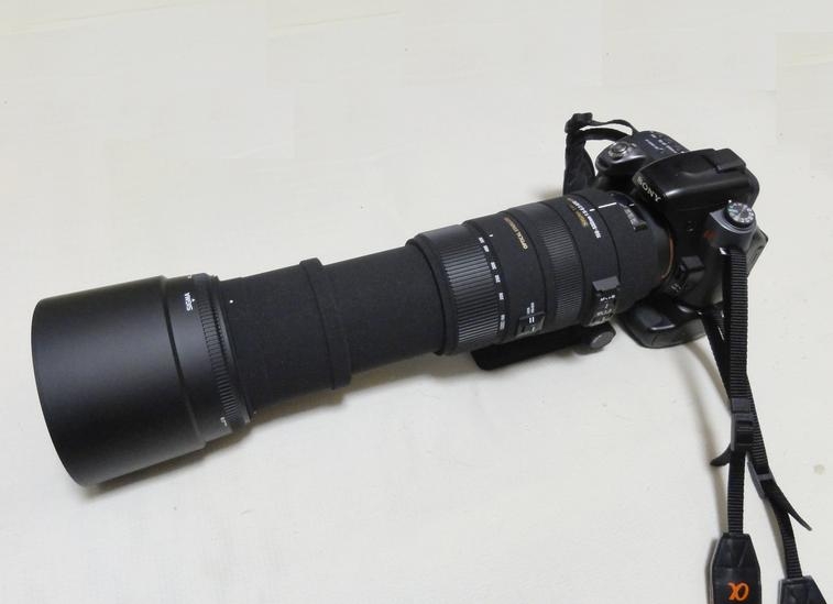 ニコン用】シグマ APO 150-500mm F5-6.3DG OS HSM - レンズ(ズーム)