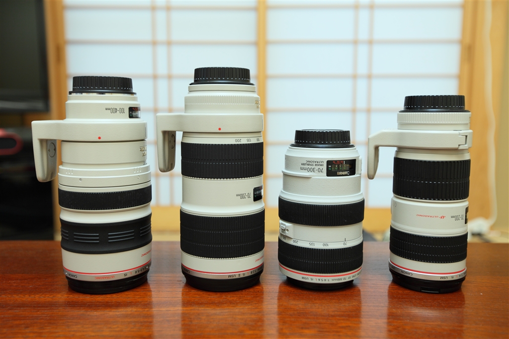 新規購入 Canon EF70-300mm F4-5.6L IS USM