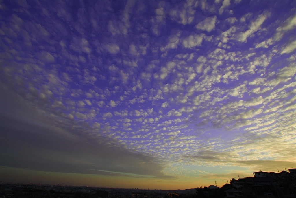 Canon 超広角ズームレンズ EF-S10-22mm F3.5-4.5 USM APS-C対応