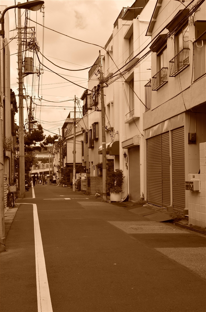 風景写真 Kawasaki Ninja Life 186】 「景色を締めるNinja」 Photo by