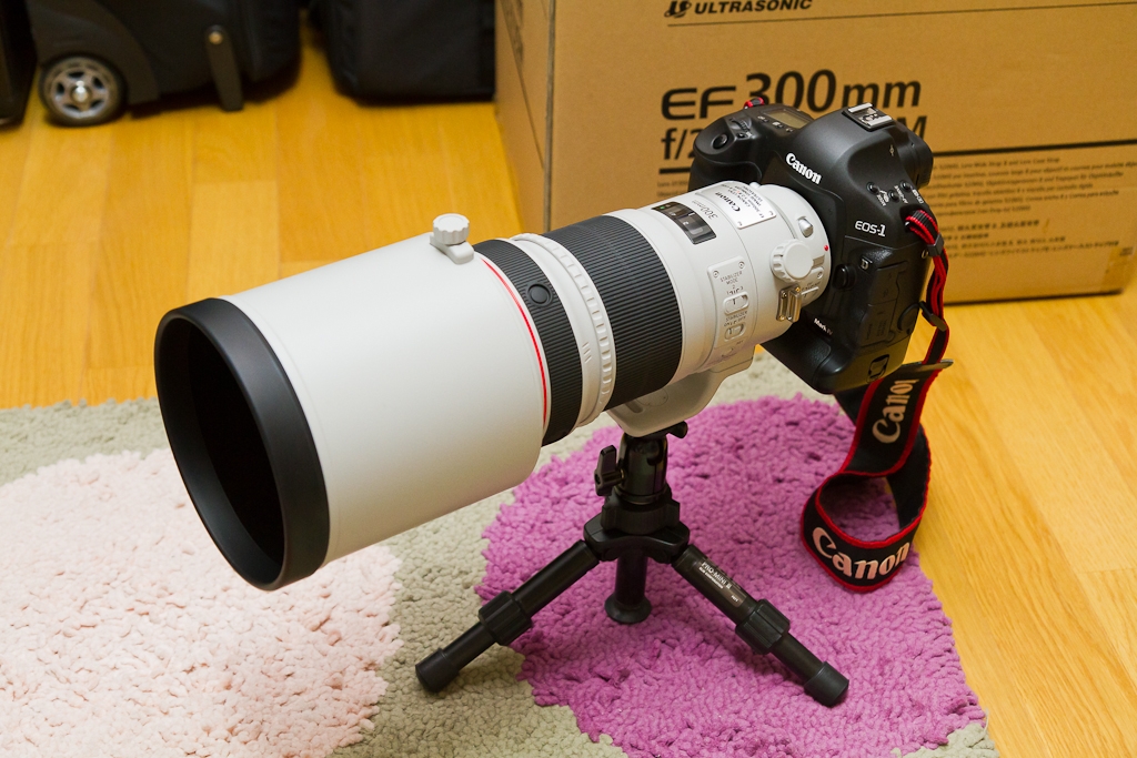 Canon EF300mm F2.8L USM + ET118 ll 【美品】 - カメラ