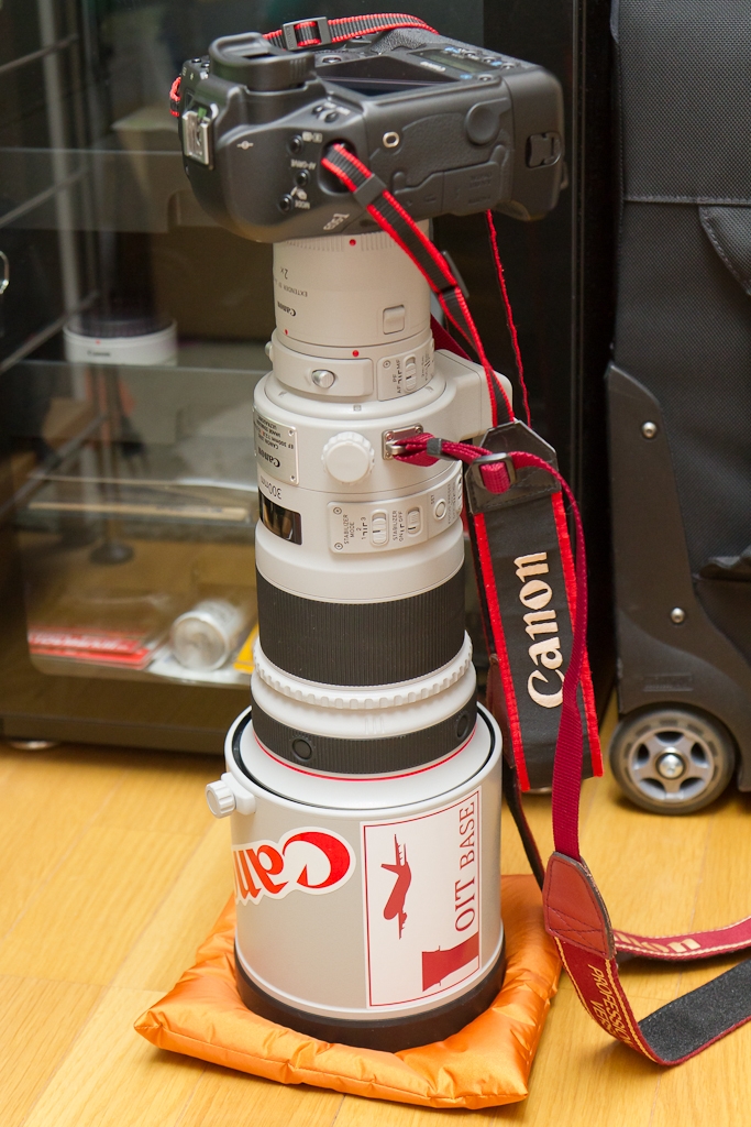 Canon EF300mm F2.8L IS Ⅱ USM - カメラ