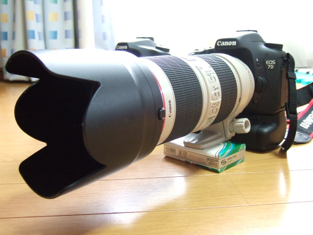 Canon - EF70-200 F2.8 L USM とエクステンダーのセットの+spbgp44.ru