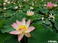 �n�X�@12-60mmF2.8-4