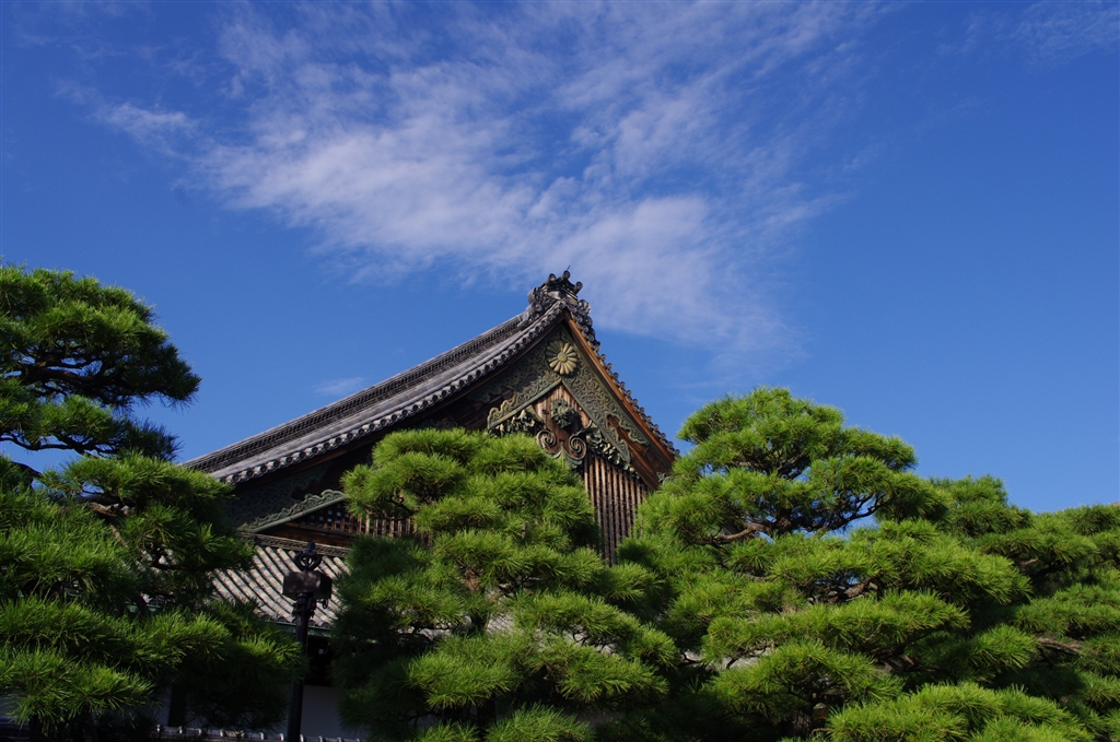 価格.com - 『K-5時代』ペンタックス smc PENTAX-DA 21mmF3.2AL Limited Silver こまわり犬さんの