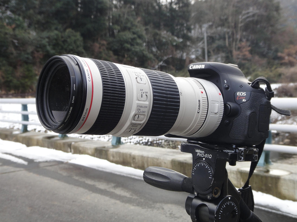 良質 Canon (キヤノン) エクステンダー EF1.4X III | artfive.co.jp