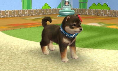 価格.com - 『ヒメ/柴犬/♀』任天堂 nintendogs + cats 柴&New