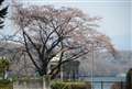 D800�@500mm�莝��