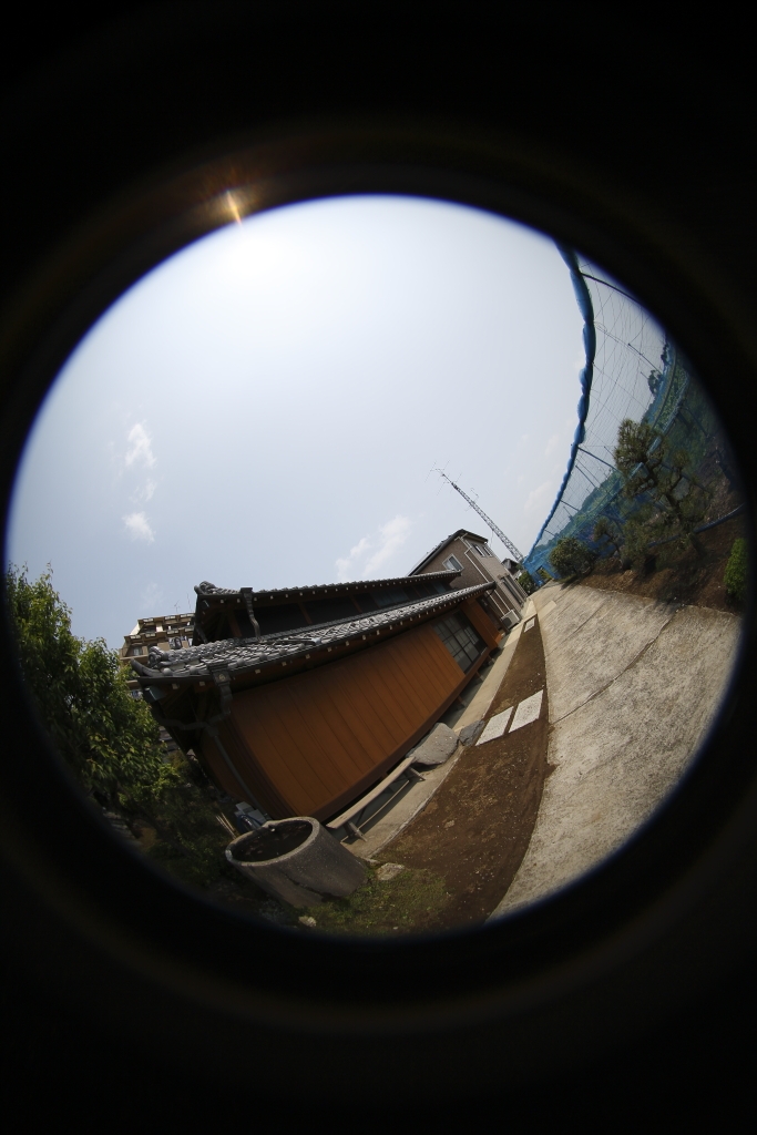 SIGMA - 【新品同様】 SIGMA シグマ 8mm f3.5 EX DG FISHEYE Amazon | シグマ(Sigma) SIGMA 単焦点魚眼レンズ 8mm F3.5 EX DG