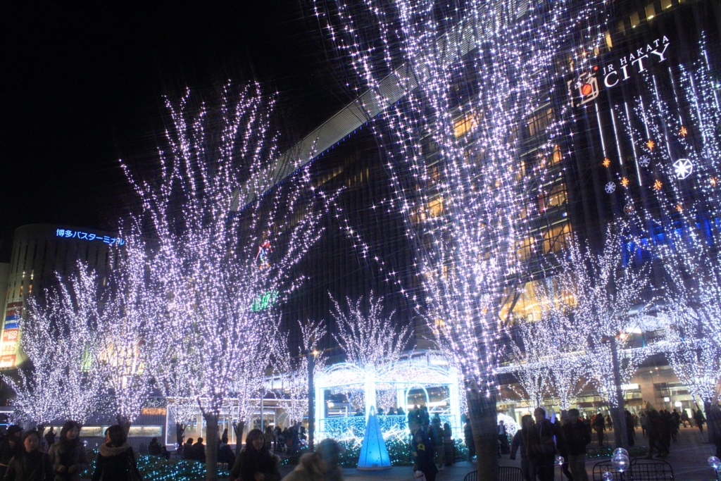 Canon レンズ 夜景