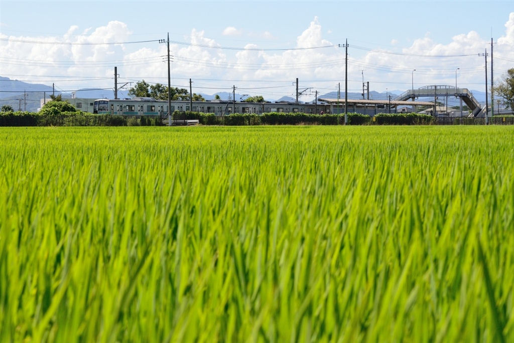 価格.com - 『相模線 入谷駅前の夏景色』ニコン AF-S DX VR Zoom