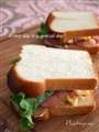 psandwich
