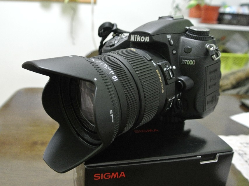 SIGMA◇レンズ 17-70mm F2.8-4 DC MACRO OS HSM [ニコン用]-