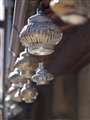 ZD 50mm F2.0 MACRO