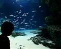 水族館にて(F2.8)