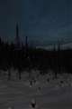 AXJ̖i Fl 1.4 ISOWOO Vb^[Xs[h5b