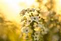 180mm f2.8 �t��(��냌���Y���ɑ��z�����Ă܂��B)�@�莝��