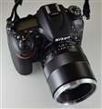 D7100+Carl Zeiss Makro Planar T* 2/100 ZF.2
