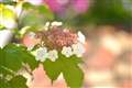 F1.8