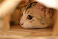F1.8