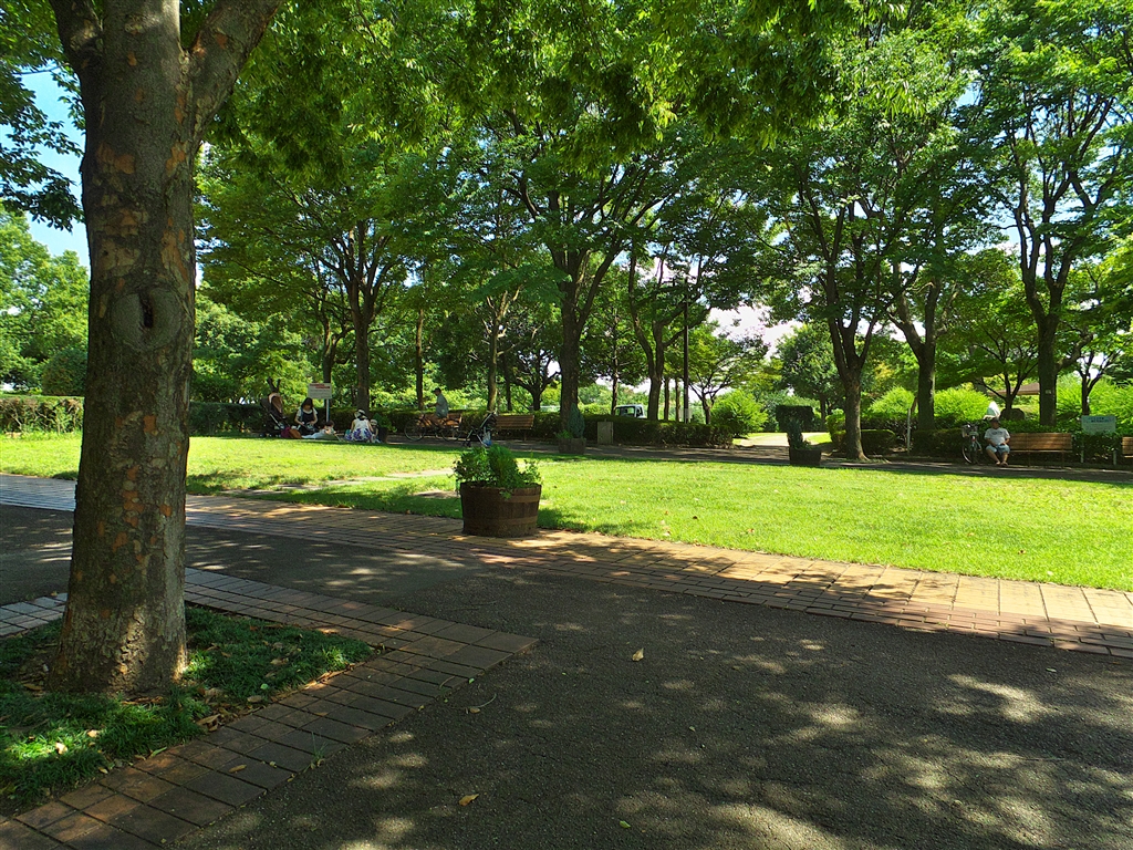 価格.com - 『昼下がりの公園です。日陰の微妙な表現がよく出来ました。』富士フイルム FinePix F770EXR [ホワイト] デジ ...