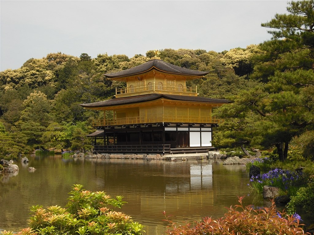 富士フイルム FinePix J15fd ReWnitableさんのレビュー評価・評判