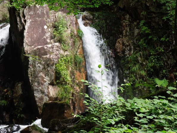 【作例あり】Nikon coolpix S8200 コンデジ 作例あり】Nikon coolpix S8200 コンデジ Nikon Coolpix S8200 Digital