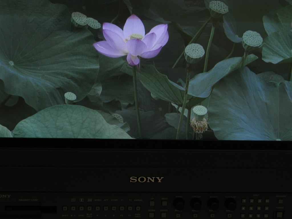 画質の到達点のひとつ Sony Fdトリニトロンベガ Kd 36hr500 36 高画質動画さんのレビュー評価 評判 価格 Com