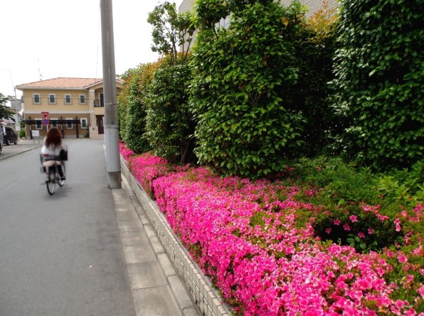 富士フイルム FinePix T500 [レッド]で撮影された写真 (レビュー