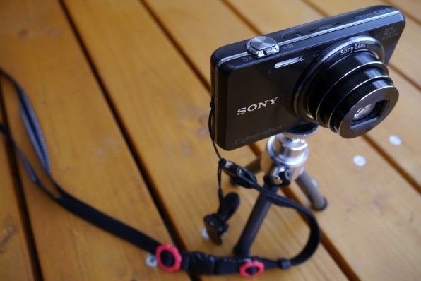 実写〇 【動作品】SONY サイバーショット dsc-wx100　コンデジ DSC-WX100 主な仕様 | デジタルスチルカメラ Cyber-shot