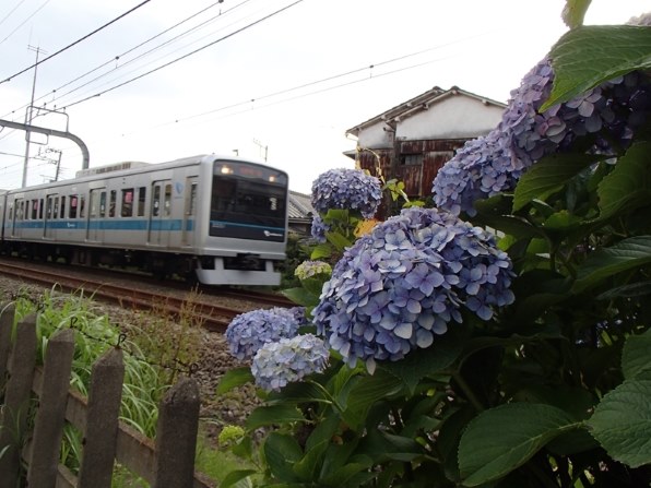 オリンパス OLYMPUS STYLUS TG-625 Tough [ホワイト] レビュー評価