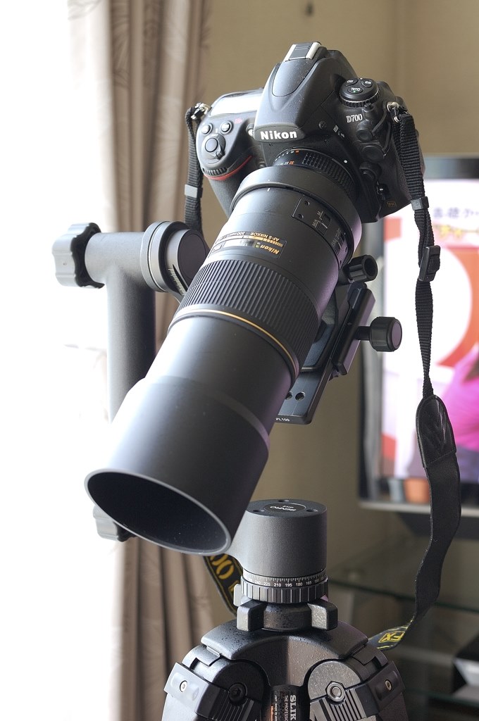 ウィンバリージンバル雲台 Wimberley WH-101 (現 WH-200) ウィンバリー