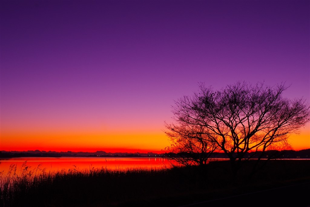 2つのご忠告 ペンタックス Fa35mmf2al うさぎ親父さんのレビュー評価 評判 価格 Com