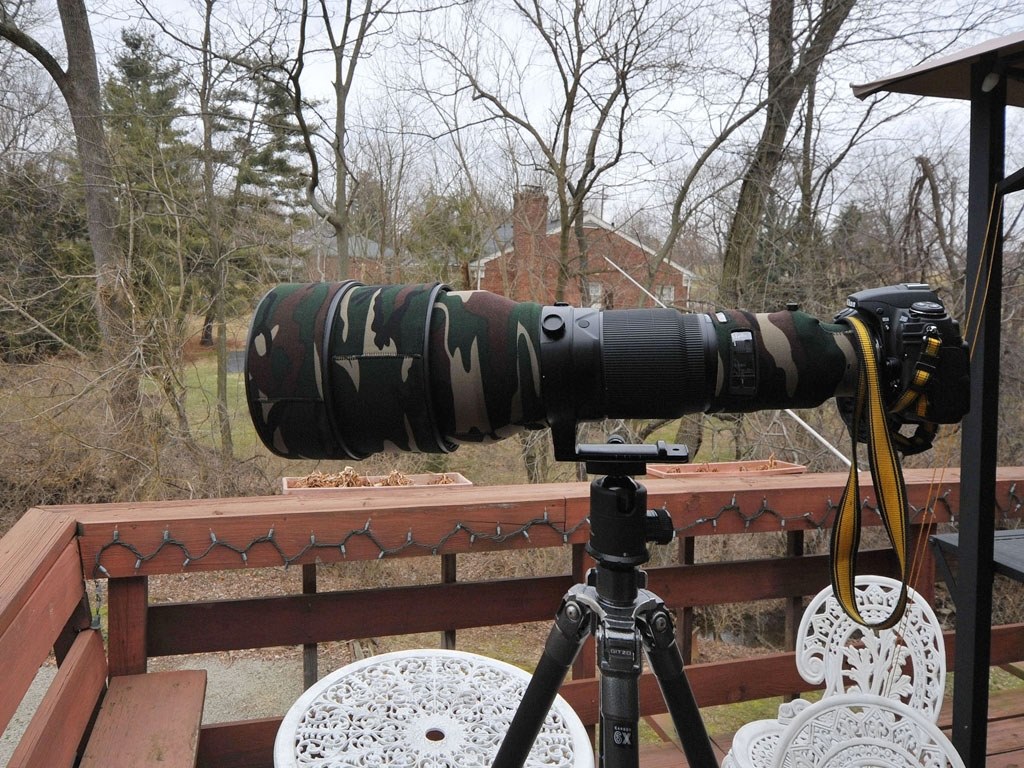 ED 600mm F4D II（IF）の特別な 1本を入手』 ニコン AI AF-S