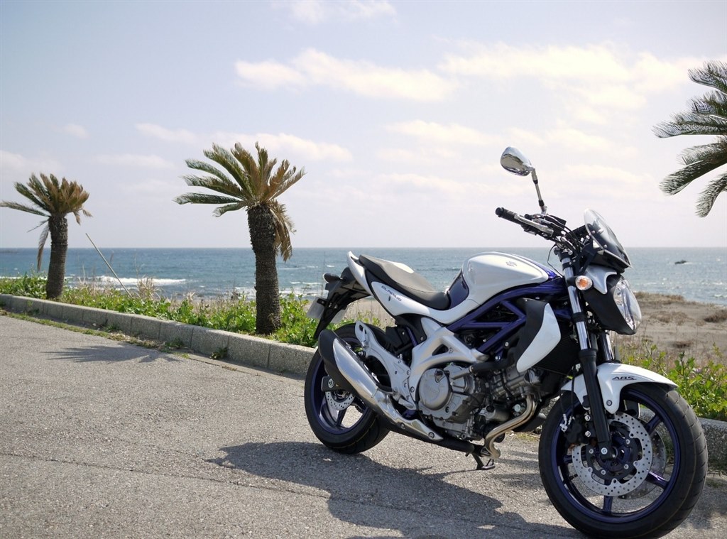 グラディウス400 650 インジェクションコントローラー