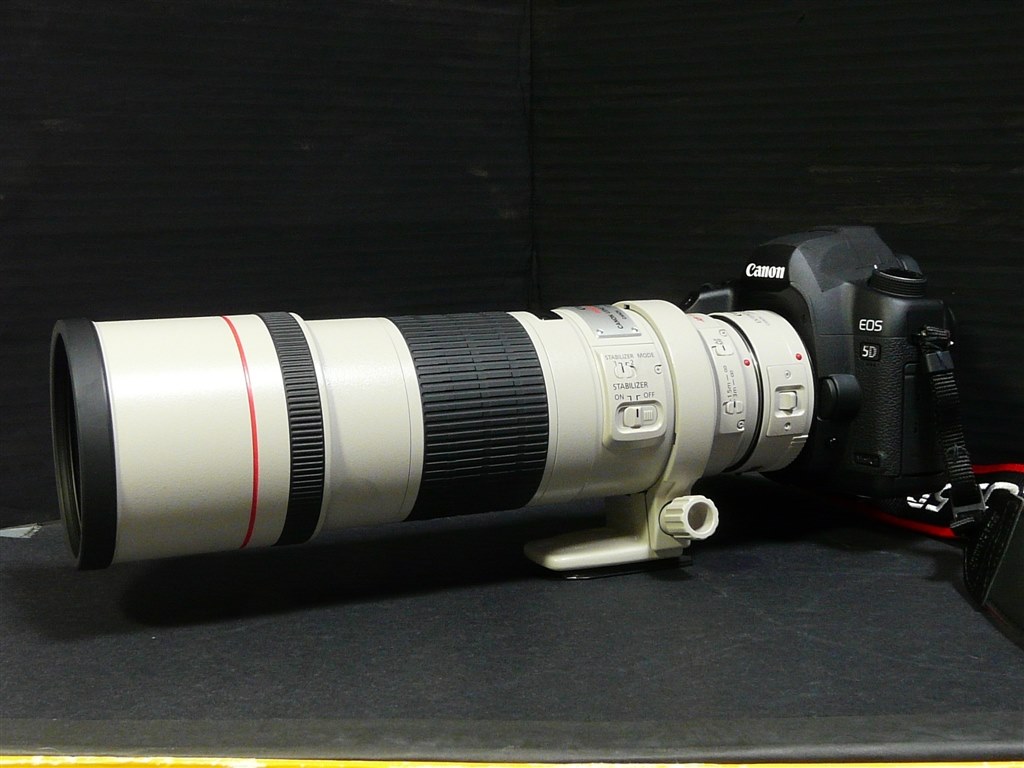 Canon EF300mm F/4L IS USM | academiadevendasmb.com.br