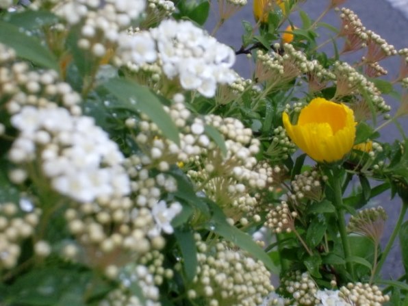 カシオ EXILIM ZOOM EX-Z270投稿画像・動画 (レビュー) - 価格.com