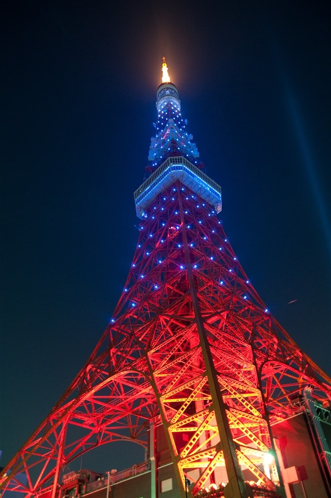 ⭐️明るくボケのあるポートレート⭐️TAMRON AF17-50mm⭐️Nikon用