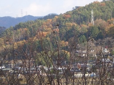 オリンパス CAMEDIA FE-360投稿画像・動画 - 価格.com