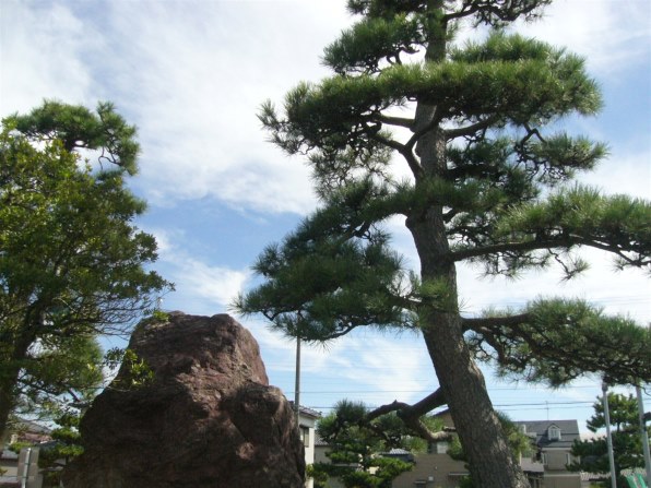 ペンタックス Optio P80 レビュー評価・評判 - 価格.com